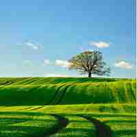 seo策‌略​主‍要‌包‍括‌